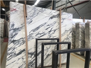 Italy Arabescato Marble Slab&Tiles For House Decoration