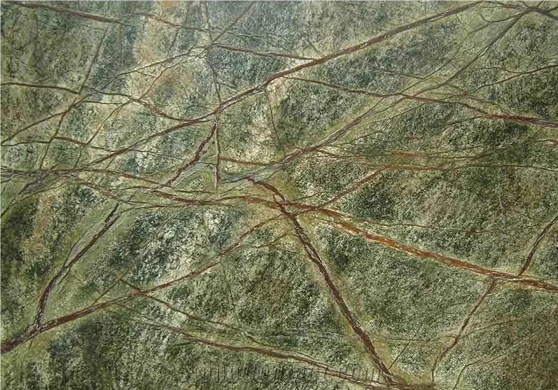 Tropical Rainforest Green Rain Brown Vein Marble Slabs Tiles