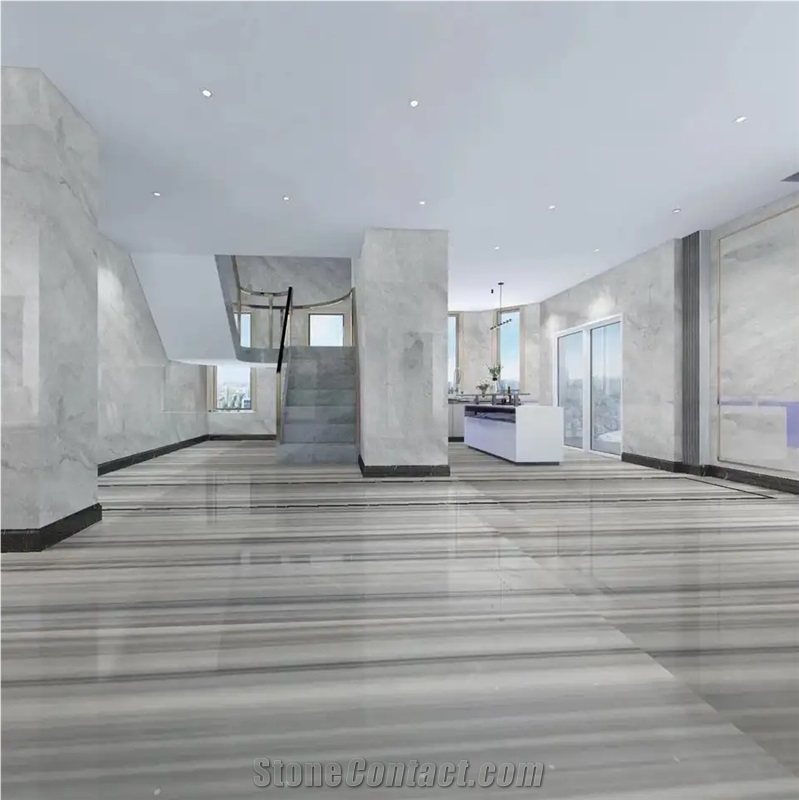 Zebra Marmara Equator Marble Slabs Grey Striata Marble