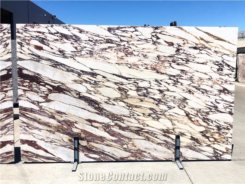 Natural Calacatta Viola Marble Slabs