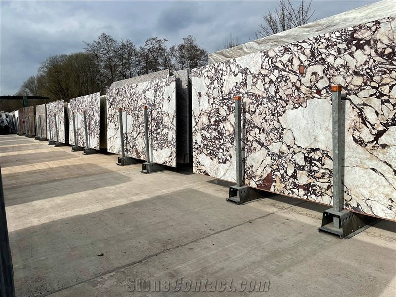 Natural Calacatta Viola Marble Slabs