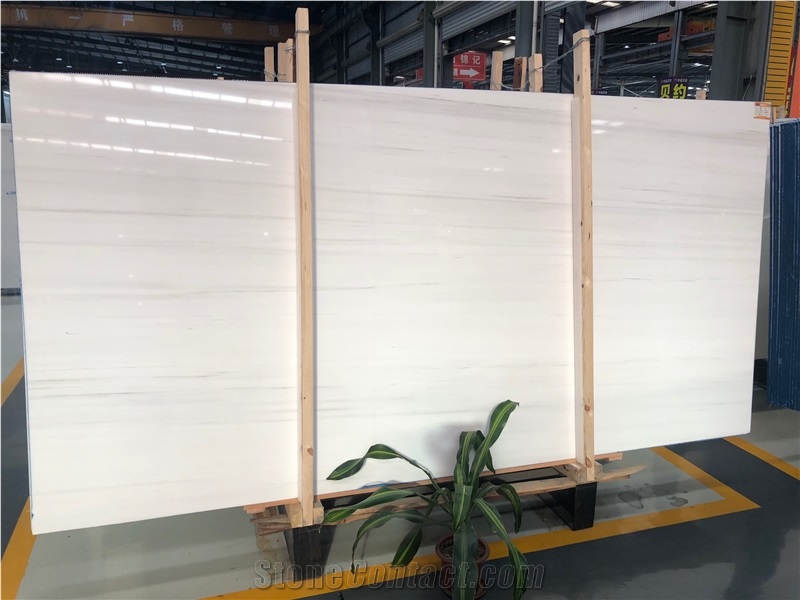 Bianco Dolomiti Marble,White Marble Slabs & Tiles