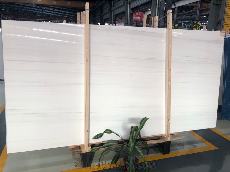 Bianco Dolomiti Marble,White Marble Slabs & Tiles