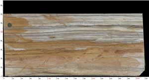 Calypso Gold Quartzite Slab