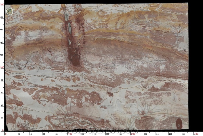 Candelarius Quartzite Slab
