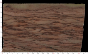 Desert Storm Granite Slab
