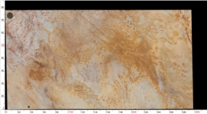 Golden Imperial Quartzite Slab