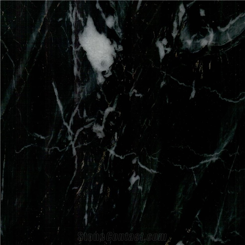 Negro Pinta Marble importance=
