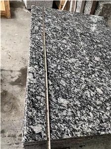 Own Factory China G418 Spray White Granite
