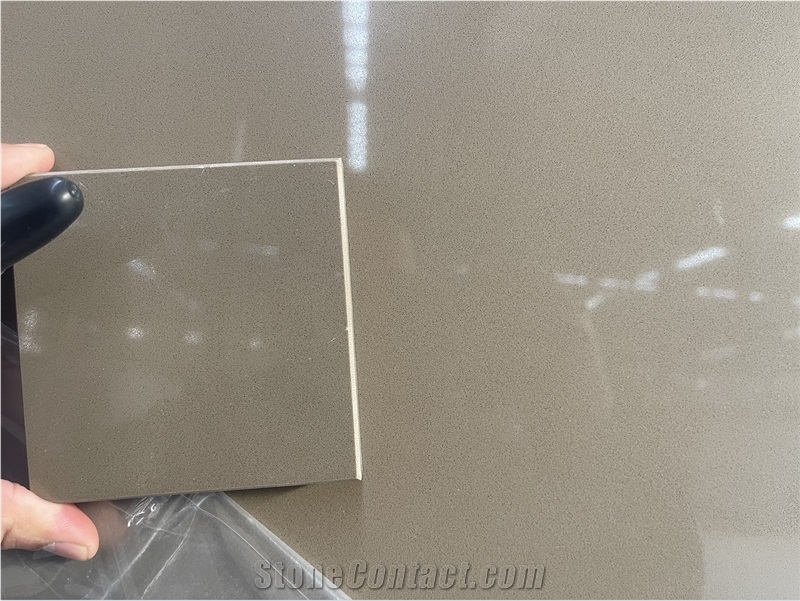 A1007 Quartz Slab