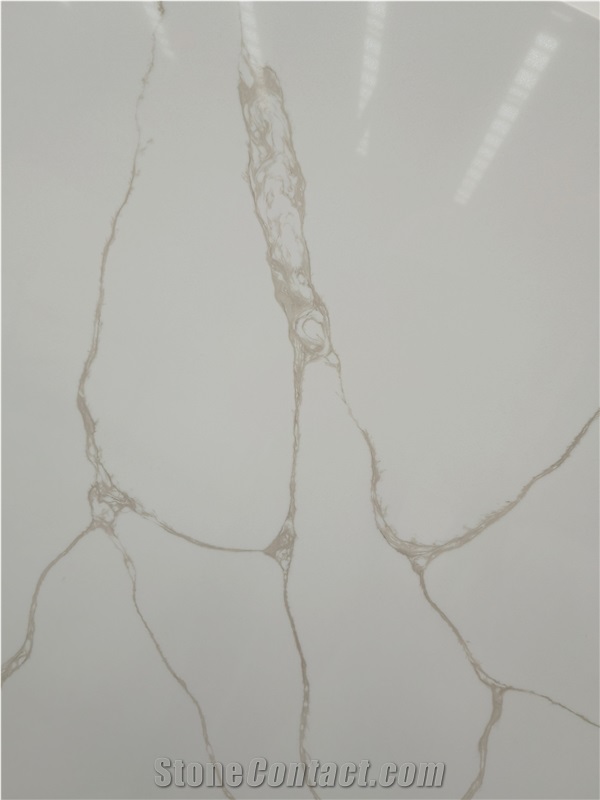 A1823F Marble Looks Quartz Slabs