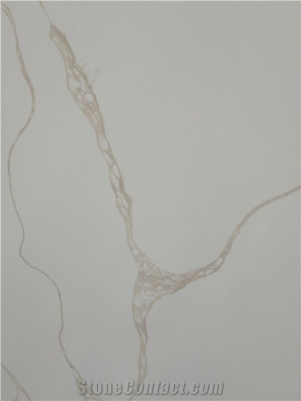 A1823F Marble Looks Quartz Slabs