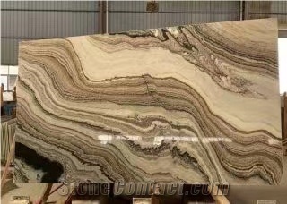 White Reef Quartzite Multicolor Slab Wall Background Use