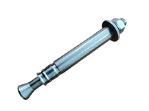 Anchor Bolt/Expansion Anchor Bolt/Cladding Anchor/Fixing