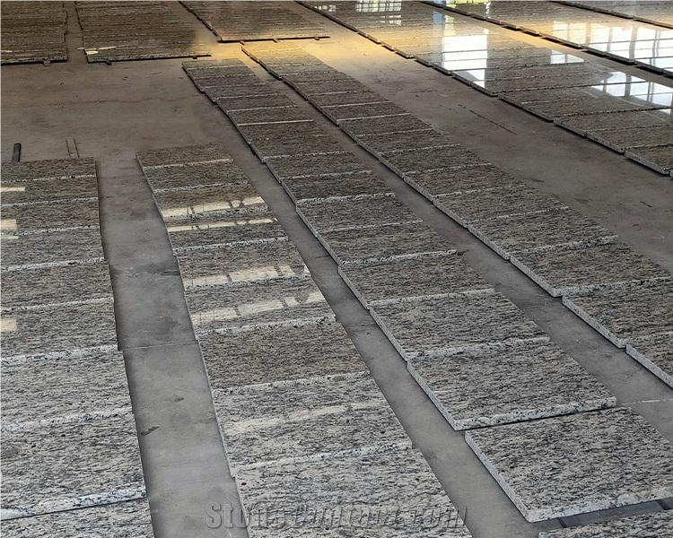 GOLDTOP OEM/ODM  Giallo Santa Cecilia Granite Countertops