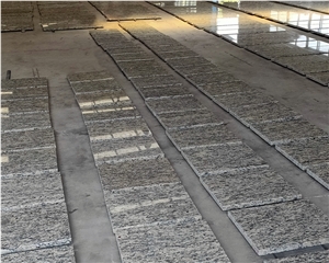 GOLDTOP OEM/ODM  Giallo Santa Cecilia Granite Countertops