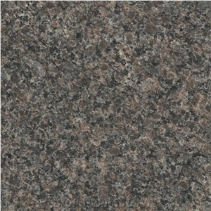 GOLDTOP OEM/ODM Sino Caledonia Granite Countertops