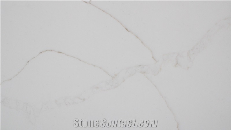 NQ9202 Super White Calacatta Quartz Slabs