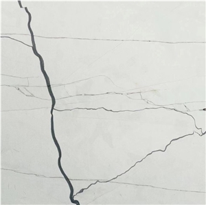 Croatia Adria Grigio Unito Beige Limestone Slab