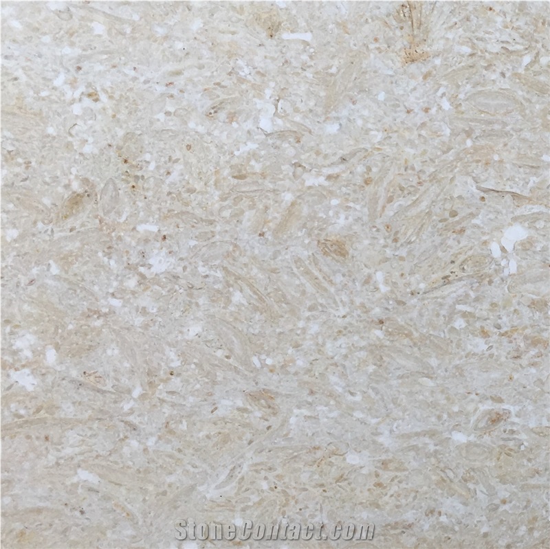 Egypt Samaha Chiaro Beige Marble Slab