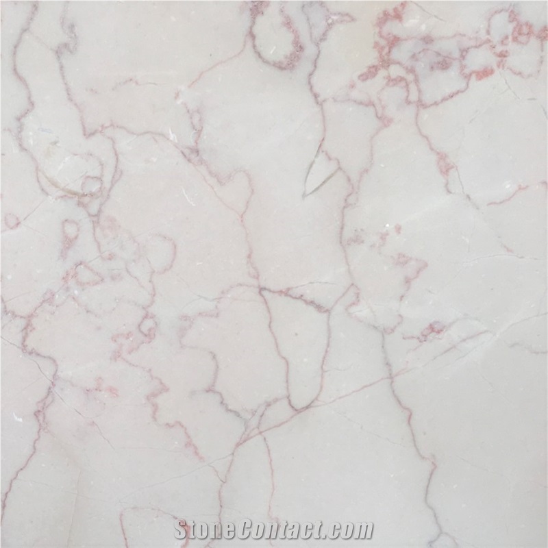 Iran Persian Shell Beige Marble Slab