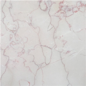 Iran Persian Shell Beige Marble Slab