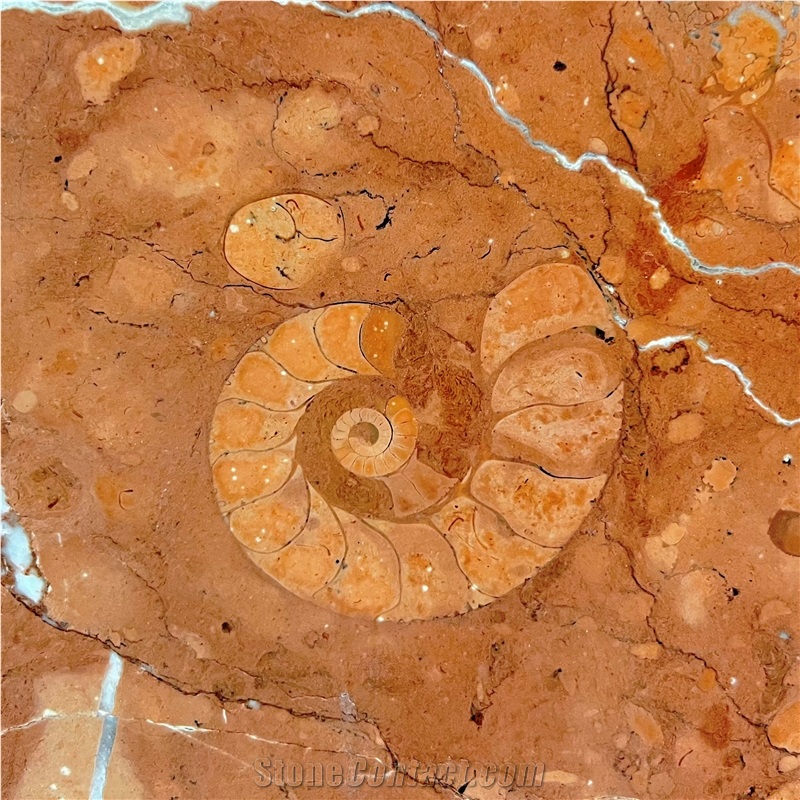 Polished Rosso Alicante Marble Slab