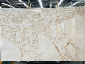 Polished Turkey Cappuccino Golden Marble Slab