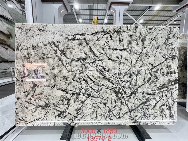 Luxury Translucent Polished White Silver Fox Granite