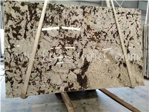 Luxury Translucent Polished White Silver Fox Granite