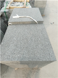 Olivine Gabbro Black Granite Flamed Pool Paver Outdoor Olivine Gabbro Black Granite Flamed Pool Paver Outdoor