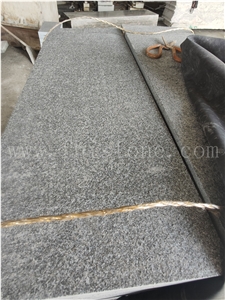 Olivine Gabbro Black Granite Flamed Pool Paver Outdoor