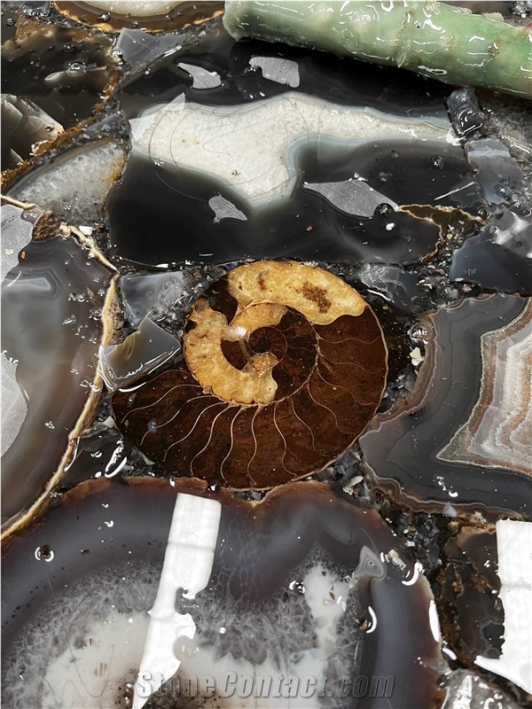 Grey Agate With Fossil Snail Gem Stone Slab - Gemstone High-End Product