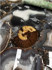 Grey Agate With Fossil Snail Gem Stone Slab - Gemstone High-End Product