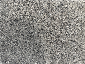 Desert Green Granite Slabs