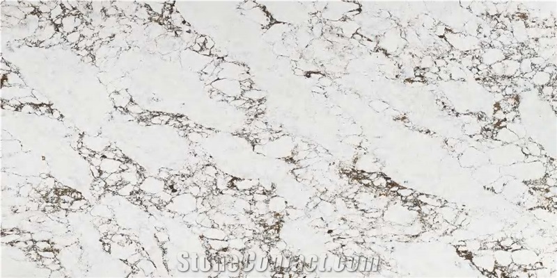 Golden Years ASMY 3509 QUARTZ