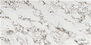 Golden Years ASMY 3509 QUARTZ Golden Years ASMY 3509 QUARTZ