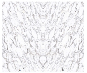 HERMAN Sintered Stone