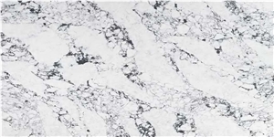 Modern Venato ASMY 3510 QUARTZ