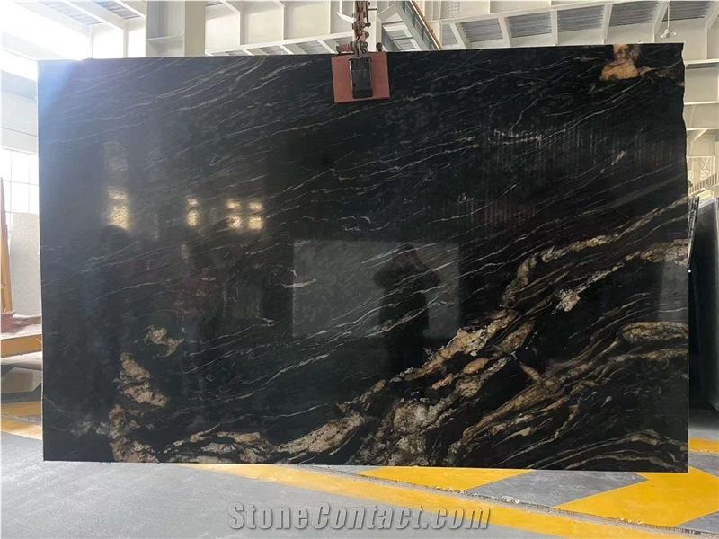 Black Quartzite Slabs Tiles