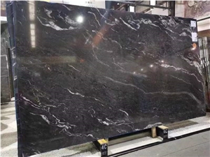 Black Swan Quartzite