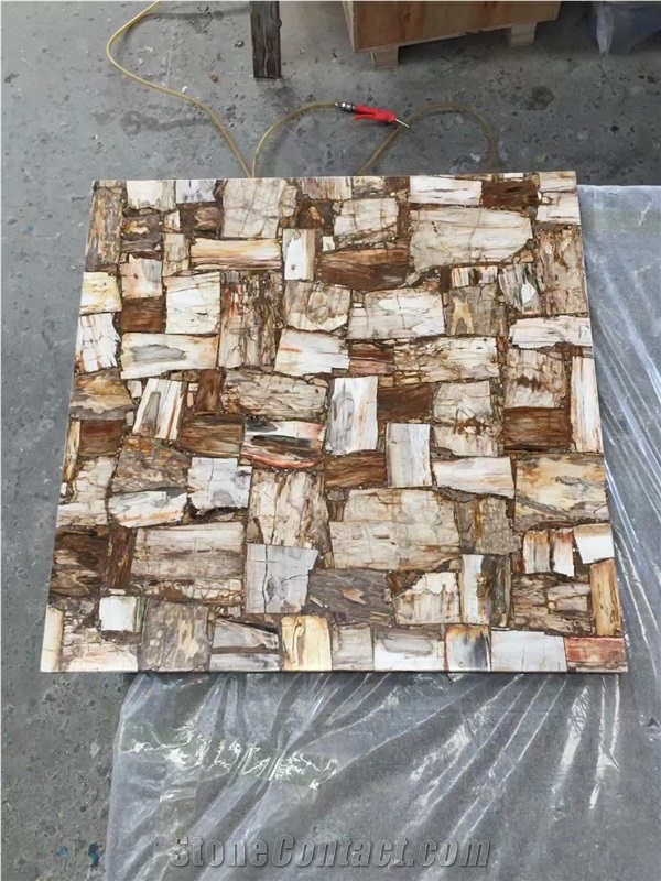 Wall Decoration Petrified Wood Semiprecious Slab Stone