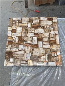 Wall Decoration Petrified Wood Semiprecious Slab Stone