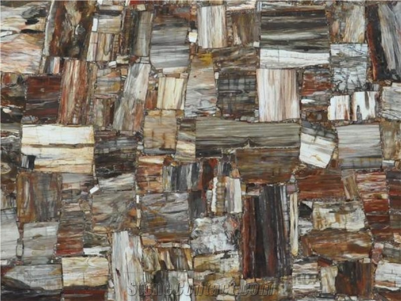 Wall Decoration Petrified Wood Semiprecious Slab Stone