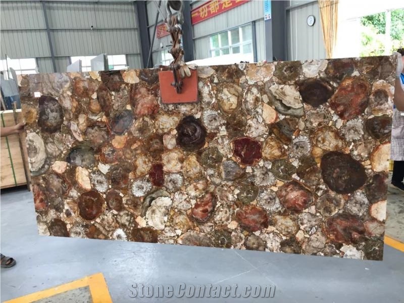 Wall Decoration Petrified Wood Semiprecious Slab Stone