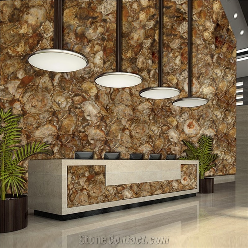 Wall Decoration Petrified Wood Semiprecious Slab Stone