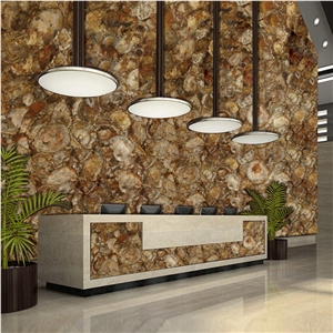 Wall Decoration Petrified Wood Semiprecious Slab Stone