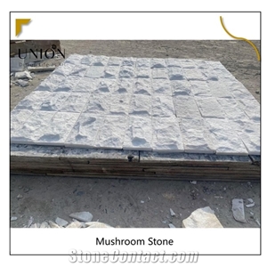 Outdoor Wall Cover White Split Quartzite Stone Panels For Wall