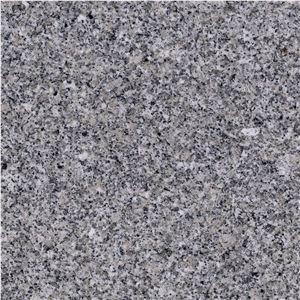 Bianco Monte Carlo Granite