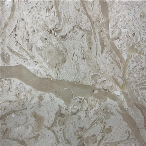 Jurassic Beige Marble